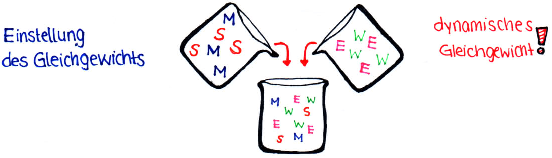 Modellvorstellung chemisches, dynamisches Gleichgewicht