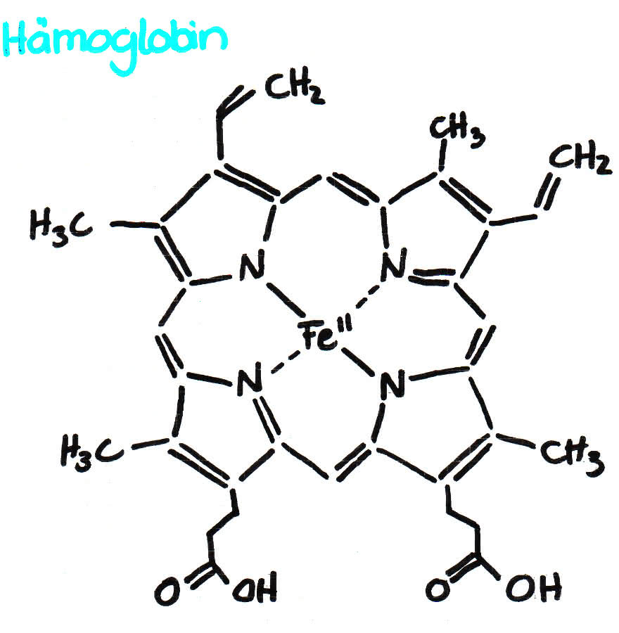 vereinfachte Formel von Hämoglobin