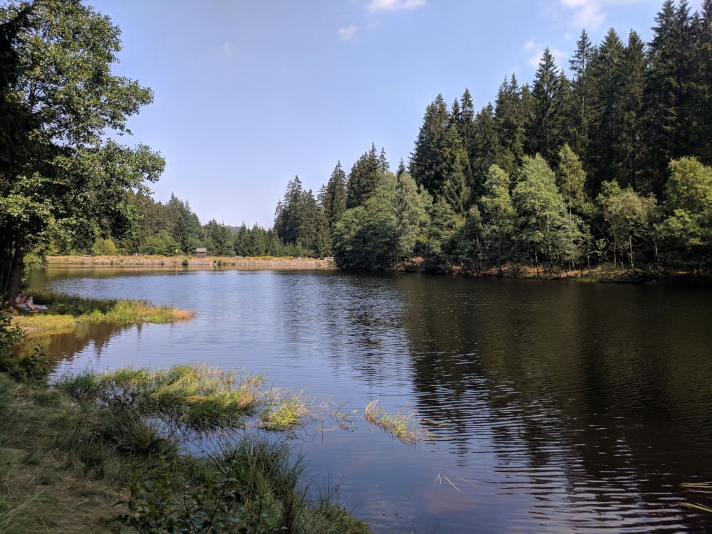 See im Harz (Hüttenteich)