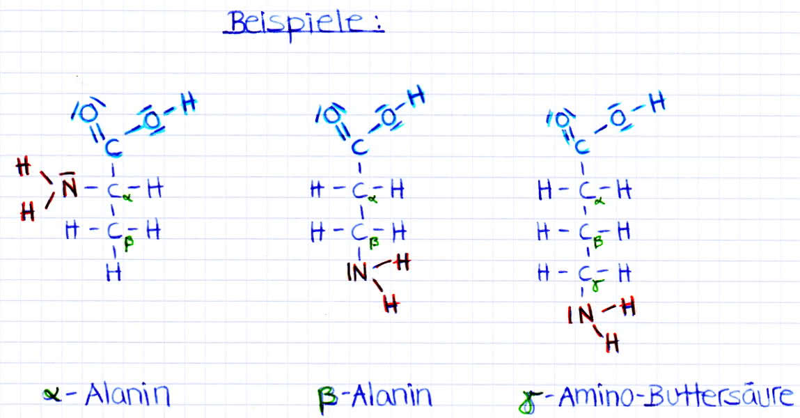 Aminosäuren. Alpha und beta Alanin sowie Gammaaminobuttersäure (Gaba)