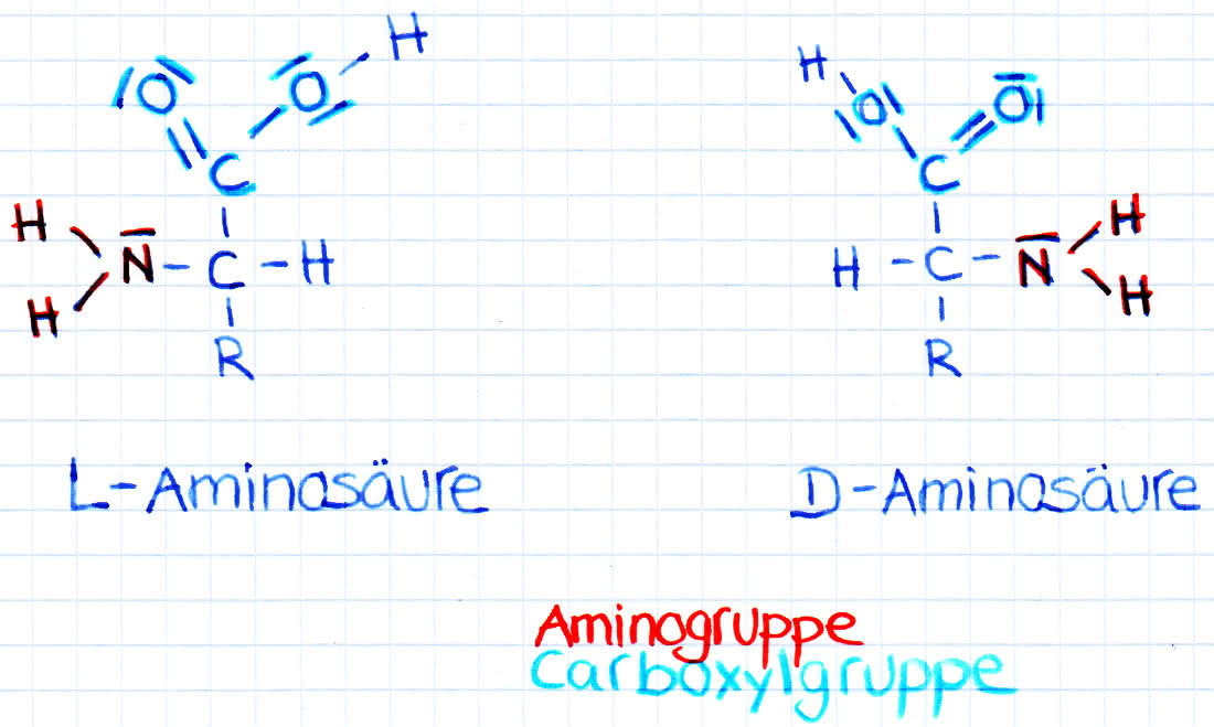 L- und D-Aminosäuren