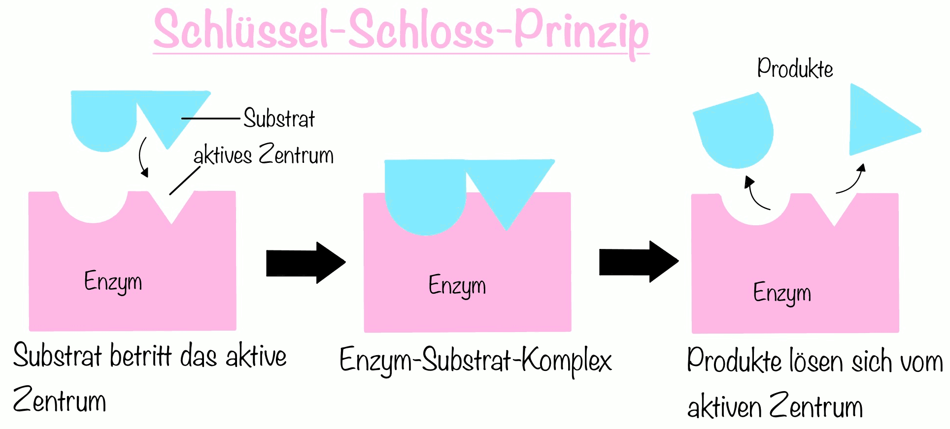 Schlüssel-Schloss-Prinzip