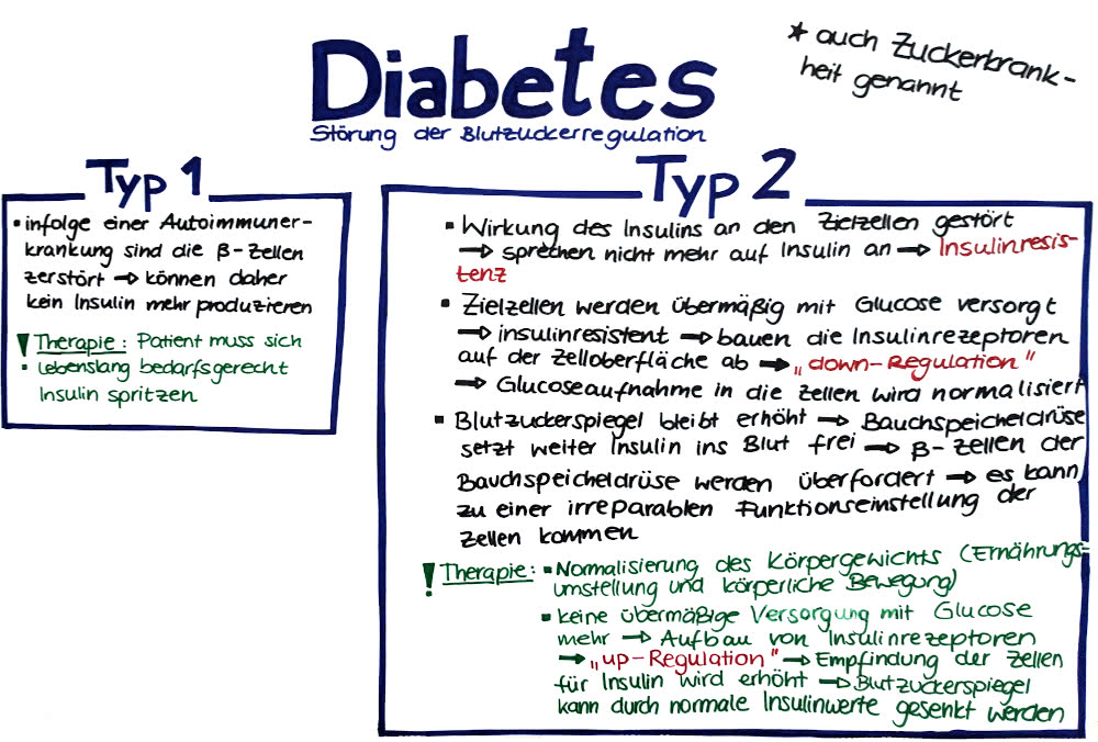 Jugendlicher Diabetes mellitus: Ursachen und Zusammenhänge