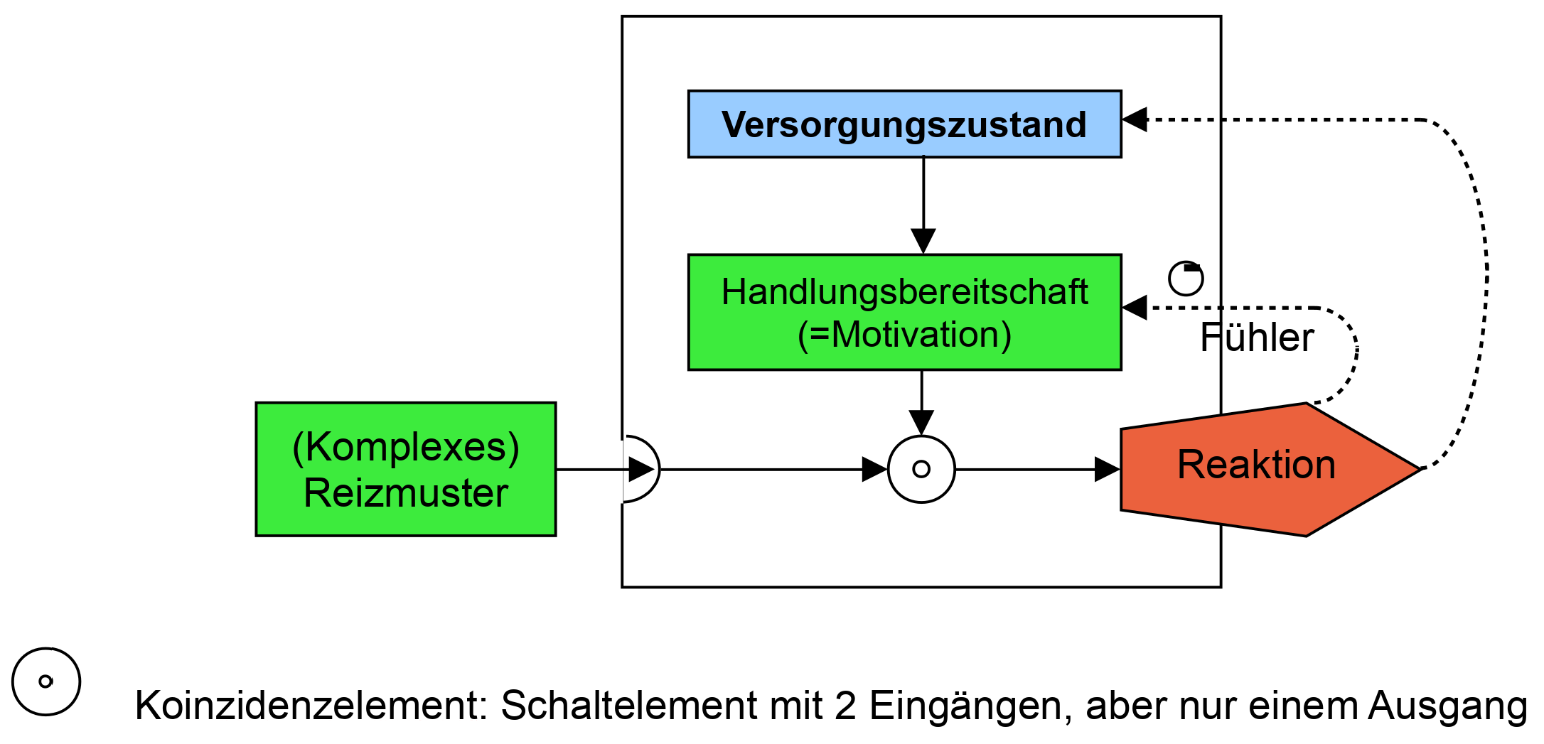 Kybernetisches Modell der Verhaltensbiologie nach Hessenstein